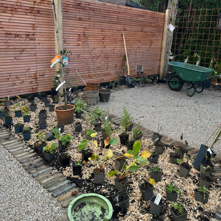 Beplantingsplan