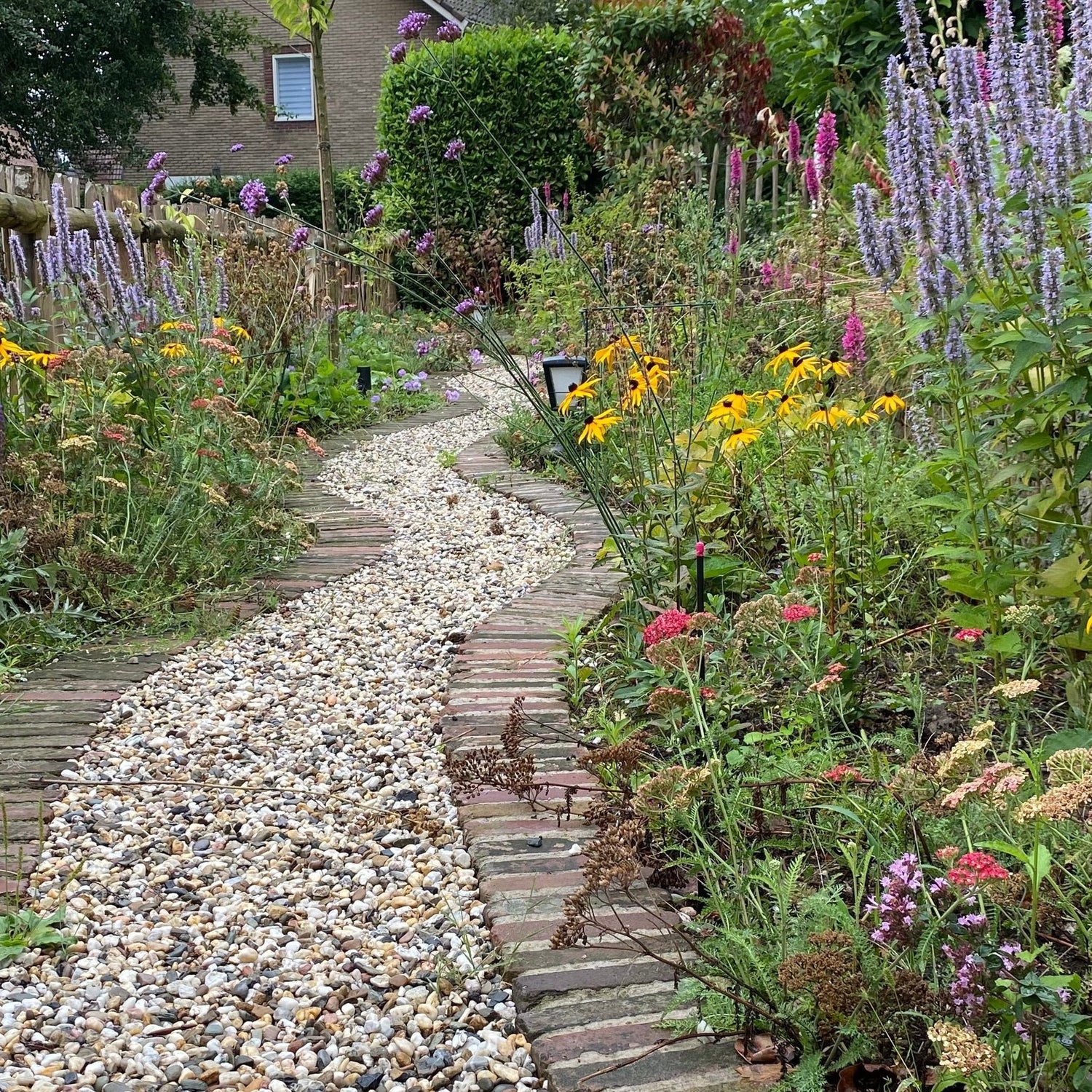 Voortuin met kronkelpaadje veel bloemen die zorgen voor een mooie groen geheel