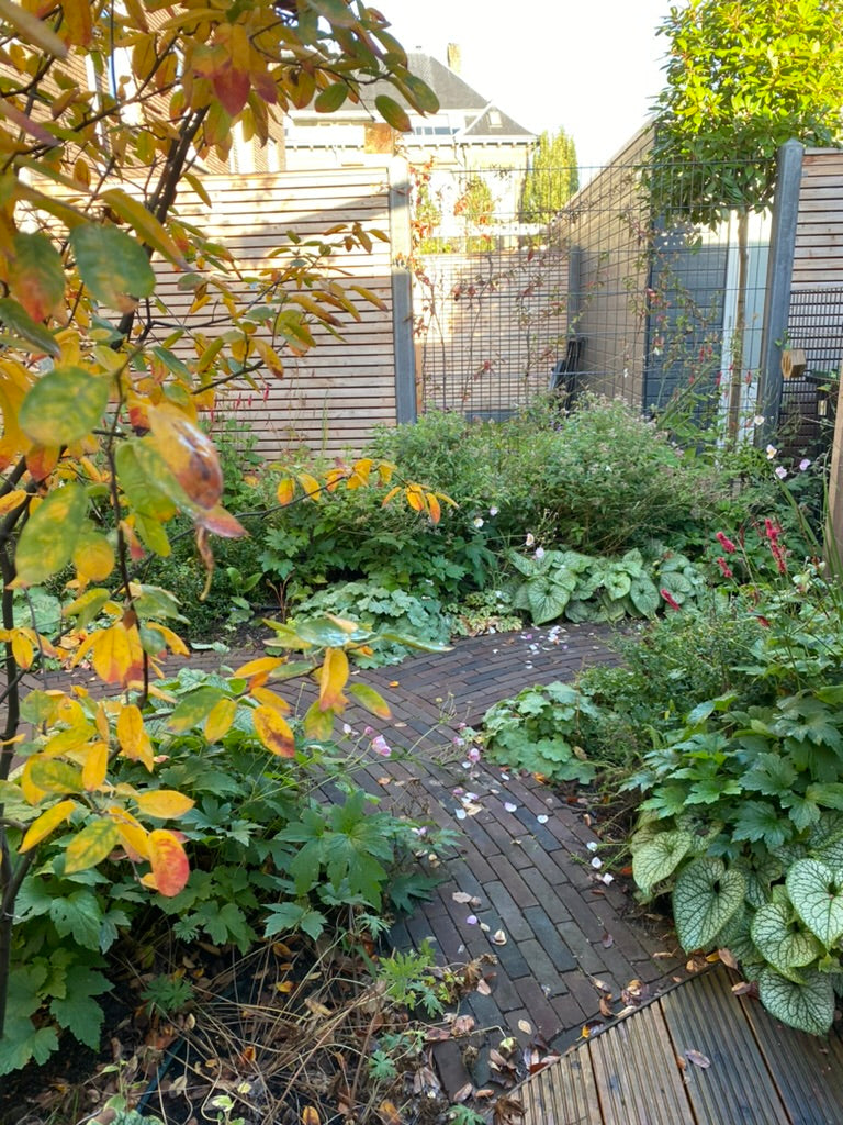 Nieuwbouwtuin_ontwerp_met_veel_beplanting