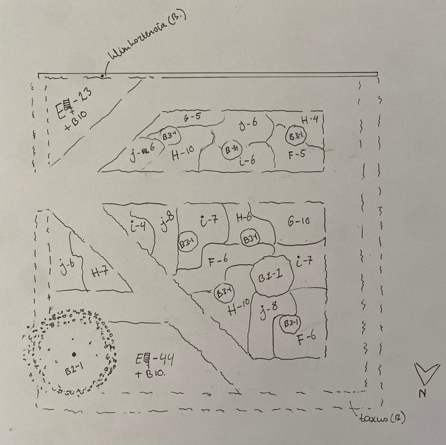 beplantingsplan voortuin