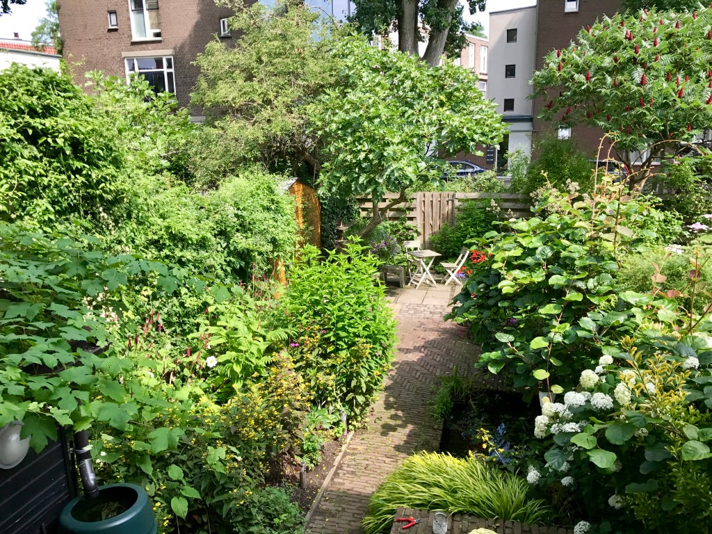 groene tuin in de stad