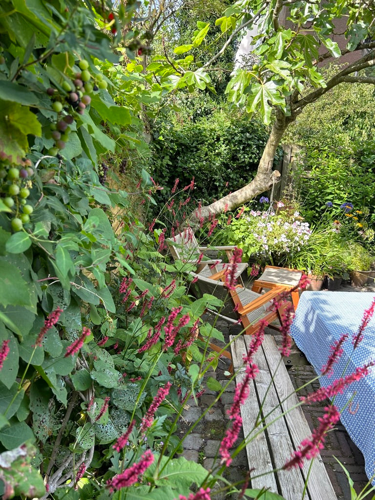 tuinadvies Utrecht