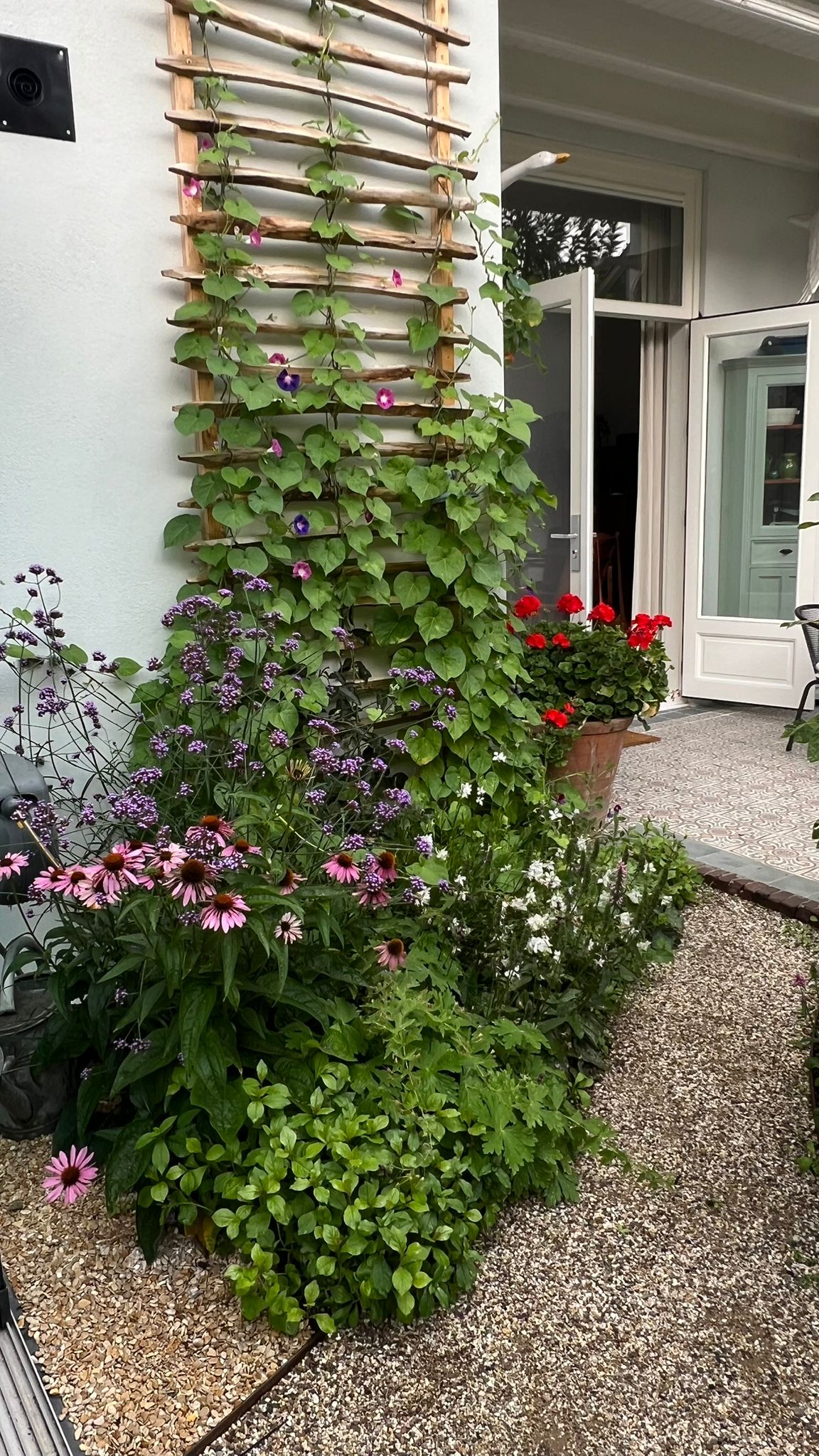 Stadstuin met volle border van verschillende planten en een klimrek om planten te begeleiden via een schapenhek