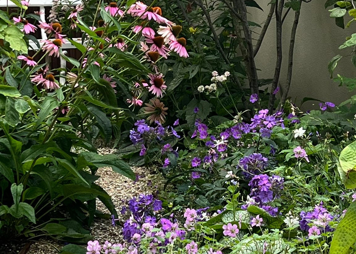 tuin met veel bloemen en klein paadjes