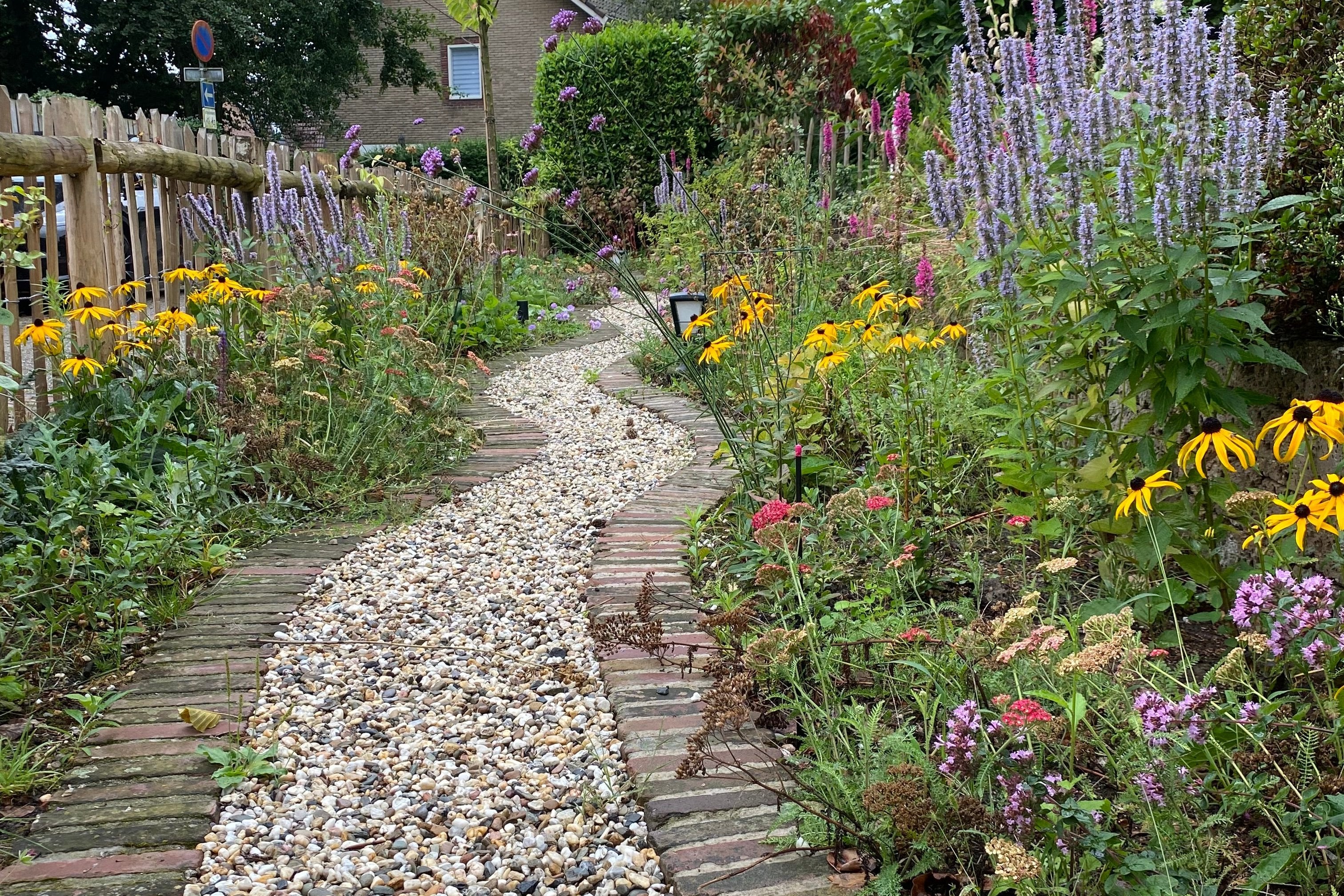 Voortuin met kronkelpaadje veel bloemen die zorgen voor een mooie groen geheel